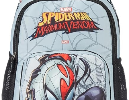 STRIDERS Spider-man 18 inches Kids School Bag